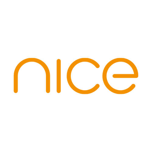 NICE - Logo und Corporate-Design Nibelungen Center Passau (2008)